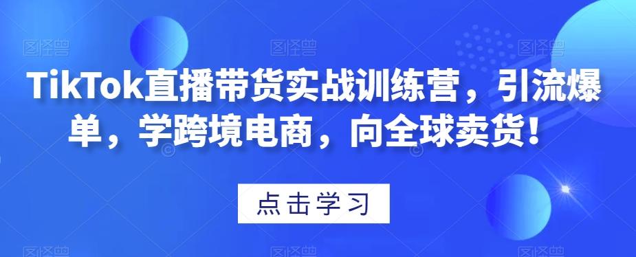 TikTok直播带货实战训练营，引流爆单，学跨境电商，向全球卖货！-搞个副业