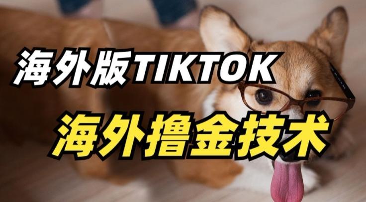 抖音海外版tiktok撸金技术，这个风口行业，赚钱真的不难【揭秘】-搞个副业