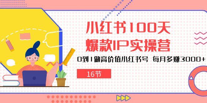 小红书100天-爆款IP实操营，0到1做高价值小红书号 每月多赚3000+(16节-搞个副业
