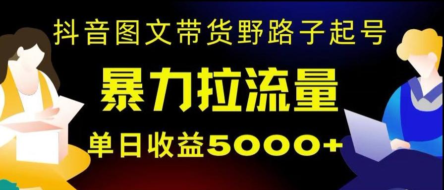抖音图文带货暴力起号，单日收益5000+，野路子玩法，简单易上手，一部手机即可【揭秘】-搞个副业