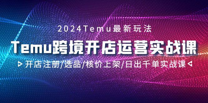 2024Temu跨境开店运营实战课，开店注册/选品/核价上架/日出千单实战课-搞个副业