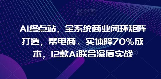 Ai终点站，全系统商业闭环矩阵打造，帮电商、实体降70%成本，12款Ai联合深度实战-搞个副业