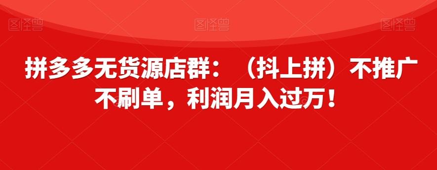 拼多多无货源店群：（抖上拼）不推广不刷单，利润月入过万！【揭秘】-搞个副业