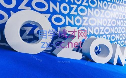 森哥·出海俄罗斯电商实操(2024)-搞个副业