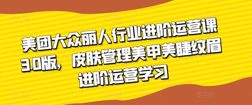 美团大众丽人行业进阶运营课3.0版，皮肤管理美甲美睫纹眉进阶运营学习-搞个副业