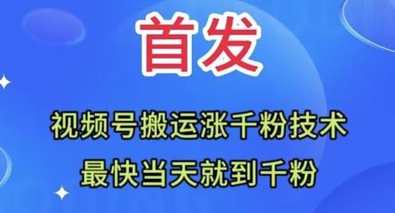全网首发：视频号无脑搬运涨千粉技术，最快当天到千粉【揭秘】-搞个副业