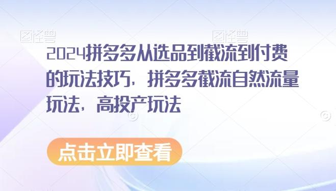 2024拼多多从选品到截流到付费的玩法技巧，拼多多截流自然流量玩法，高投产玩法-搞个副业