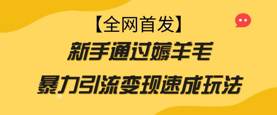 【全网首发】新手通过薅羊毛暴力引流变现速成玩法-搞个副业