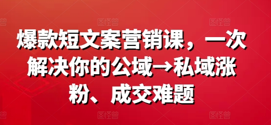 爆款短文案营销课，一次解决你的公域→私域涨粉、成交难题-搞个副业