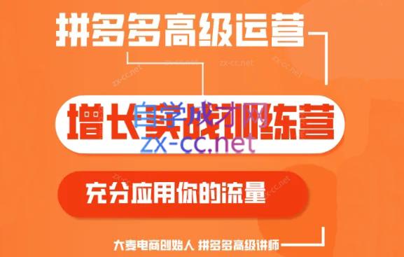 大麦老师·拼多多单品爆款打造课程(更新6月)-搞个副业