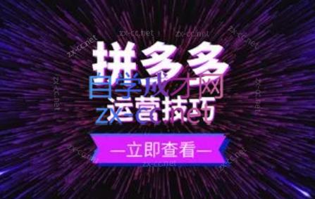 力辛电商·拼多多强付费店群玩法-搞个副业