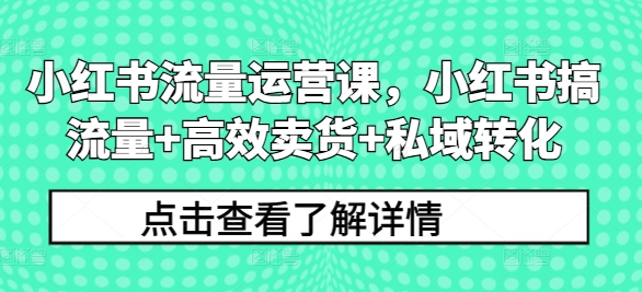 小红书流量运营课，小红书搞流量+高效卖货+私域转化-搞个副业