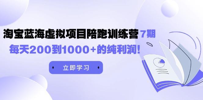 (9541期)黄岛主《淘宝蓝海虚拟项目陪跑训练营7期》每天200到1000+的纯利润-搞个副业