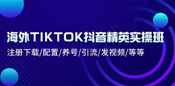 海外TIKTOK抖音精英实操班：注册下载/配置/养号/引流/发视频/等等-搞个副业