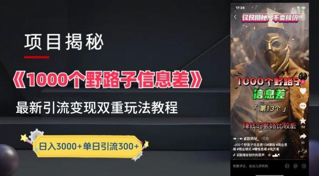 一千个野路子信息差最新玩法教程-变现+引流的玩法具体拆解【揭秘】-搞个副业