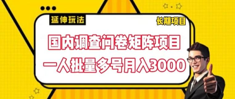 国内调查问卷矩阵项目，一人批量多号月入3000【揭秘】-搞个副业