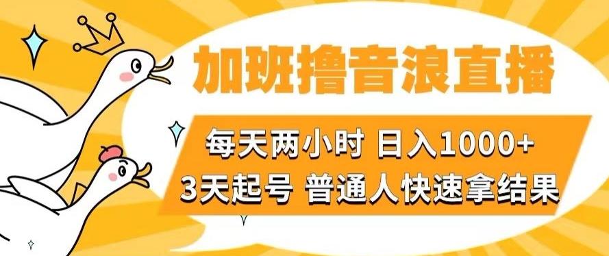 加班撸音浪直播，每天两小时，日入1000+，直播话术才3句，3天起号，普通人快速拿结果【揭秘】-搞个副业