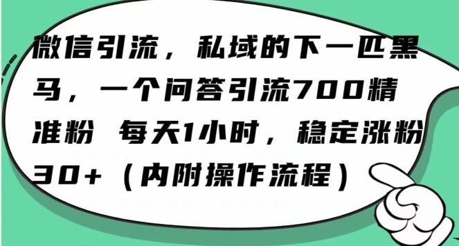 怎么搞精准创业粉？微信新赛道，每天一小时，利用Ai一个问答日引100精准粉-搞个副业