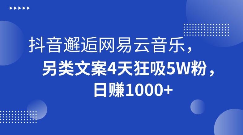 抖音邂逅网易云音乐，另类文案4天狂吸5W粉，日赚1000+【揭秘】-搞个副业