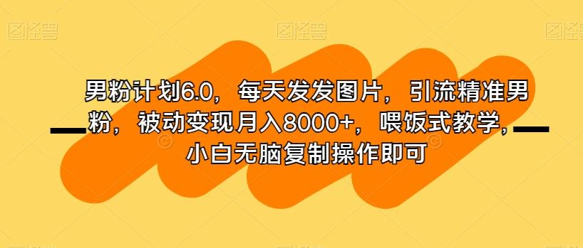 男粉计划6.0，每天发发图片，引流精准男粉，被动变现月入8000+，喂饭式教学，小白无脑复制操作即可-搞个副业