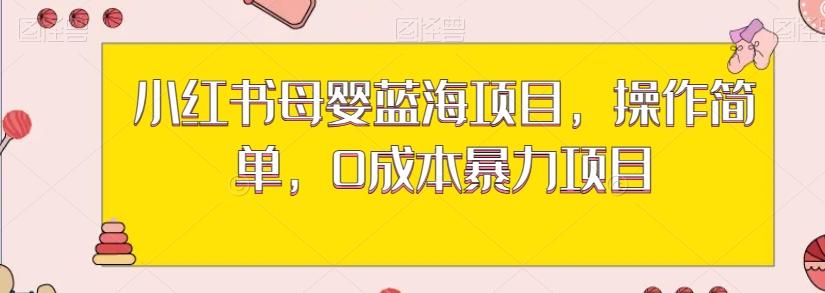 小红书母婴蓝海项目，操作简单，0成本暴力项目-搞个副业