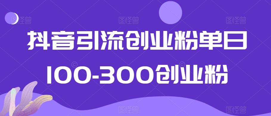抖音引流创业粉单日100-300创业粉【揭秘】-搞个副业