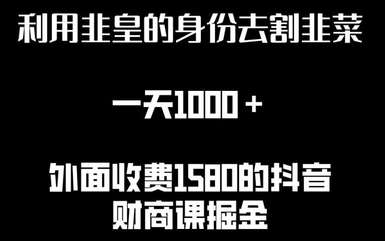 利用非皇的身份去割韭菜，一天1000+(附详细资源)【揭秘】-搞个副业