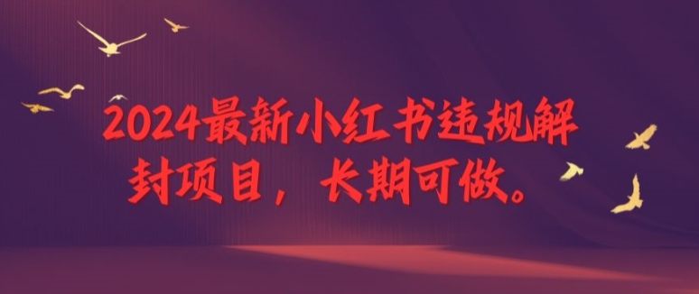 2024最新小红书违规解封项目，长期可做，一个可以做到退休的项目【揭秘】-搞个副业
