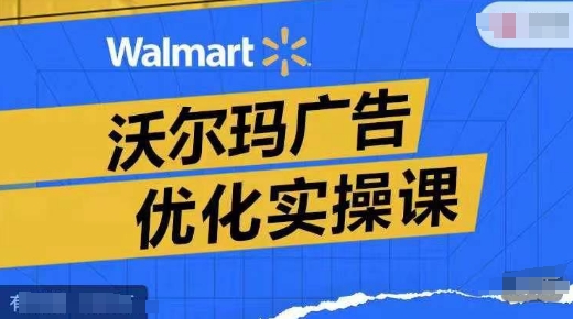 沃尔玛广告优化实操课，广告报告实操讲解，广告如何提高转化和ROAS等-搞个副业