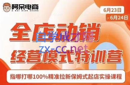 阿呆电商·全店动销经营模式特训营(线下录音+思维导图)-搞个副业