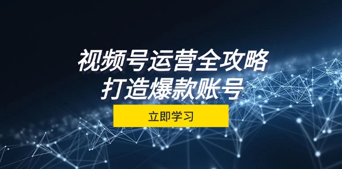 视频号运营全攻略，从定位到成交一站式学习，视频号核心秘诀，打造爆款…-搞个副业