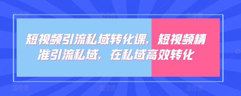 短视频引流私域转化课，短视频精准引流私域，在私域高效转化-搞个副业