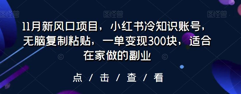 11月新风口项目，小红书冷知识账号，无脑复制粘贴，一单变现300块，适合在家做的副业-搞个副业