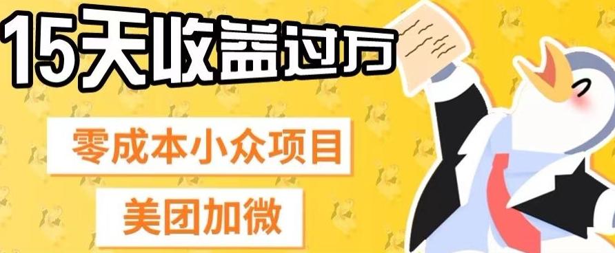 零成本小众项目，美团加微，一单4.5+，15天已经有人赚上万收益-搞个副业