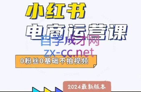达哥·小红书电商运营(2024版)-搞个副业