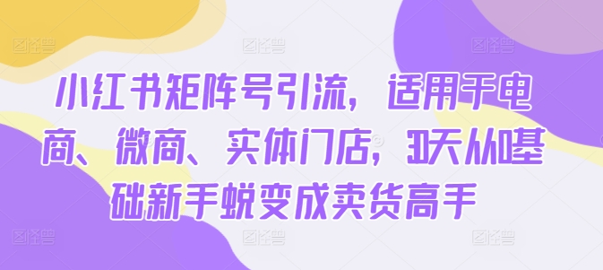小红书矩阵号引流，适用于电商、微商、实体门店，30天从0基础新手蜕变成卖货高手-搞个副业