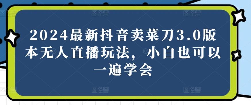 2024最新抖音卖菜刀3.0版本无人直播玩法，小白也可以一遍学会【揭秘】-搞个副业