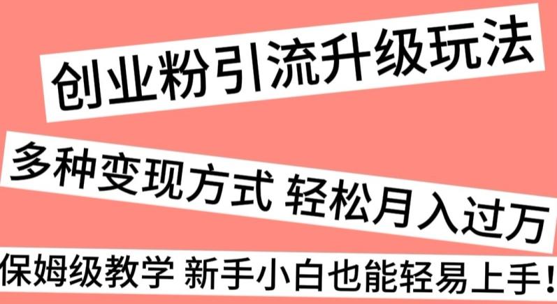 创业粉引流升级玩法，多种变现方式轻松月入过万，保姆级教学新手小白也能轻易上手！-搞个副业