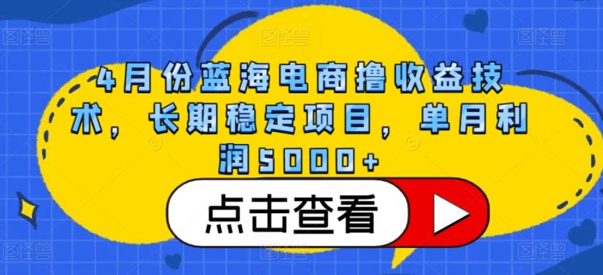 4月份蓝海电商撸收益技术，长期稳定项目，单月利润5000+【揭秘】-搞个副业