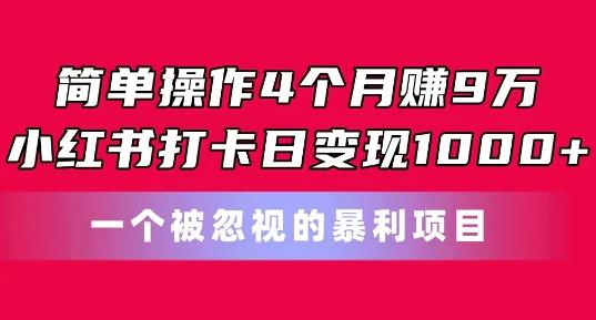 简单操作4个月赚9w，小红书打卡日变现1k，一个被忽视的暴力项目【揭秘】-搞个副业