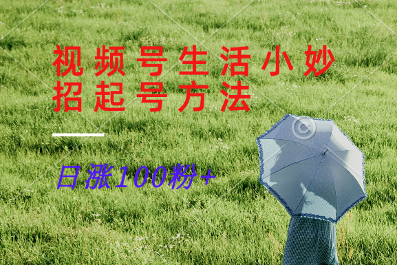 视频号生活小妙招分享赛道， 起号涨粉新方法，日涨100粉-搞个副业