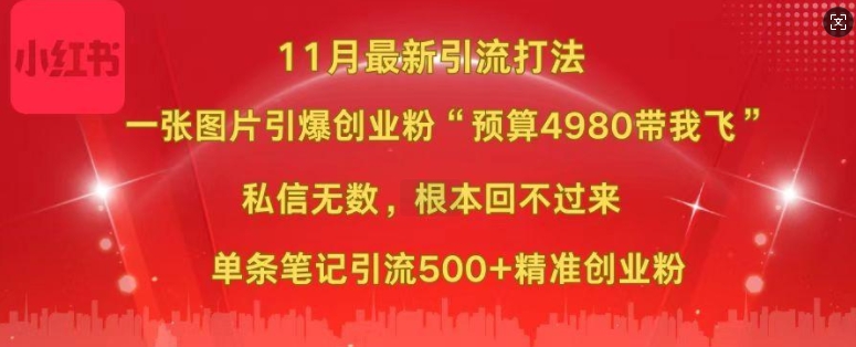小红书11月最新图片打粉，一张图片引爆创业粉，“预算4980带我飞”，单条引流500+精准创业粉-搞个副业