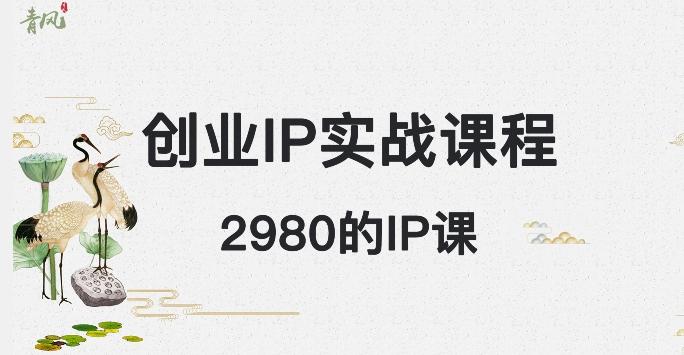 外边卖2980的创业IP课程，做私域月入5w+-搞个副业