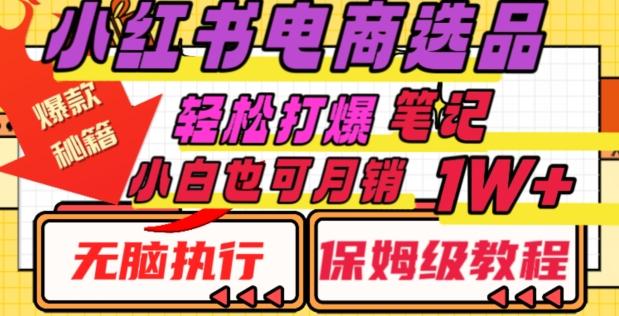 小红书电商爆款选品秘籍，帮你轻松打爆笔记，小白也可轻松月销10000+-搞个副业