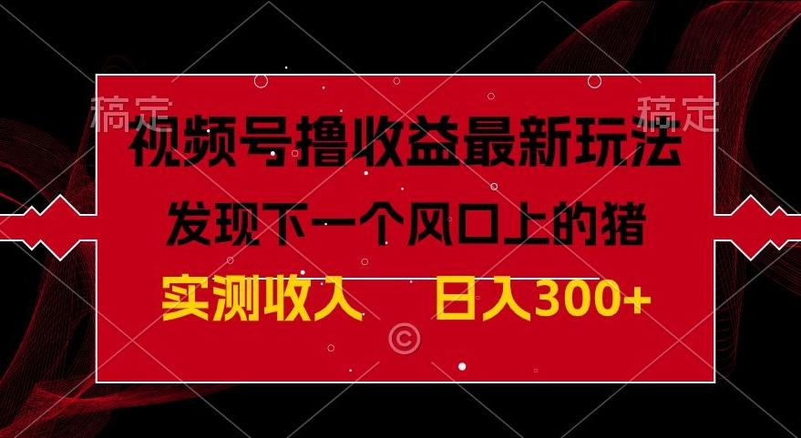 视频号分成计划最新玩法，单条作品几分钟制作完成,日入300+，过年前最后的冲刺-搞个副业