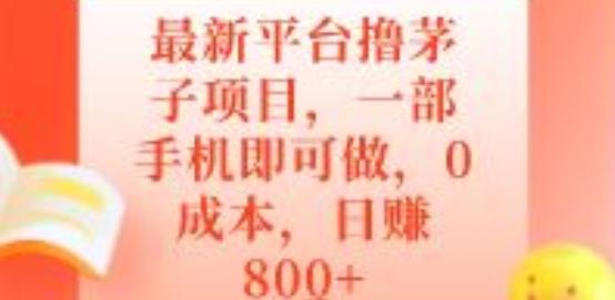 最新平台撸茅子项目，一部手机即可做，0成本，日赚800+-搞个副业