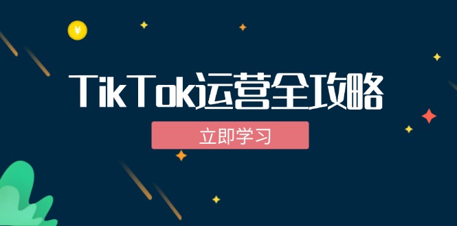 TikTok实战运营全攻略：从下载软件到变现，抖音海外版实操教程-搞个副业